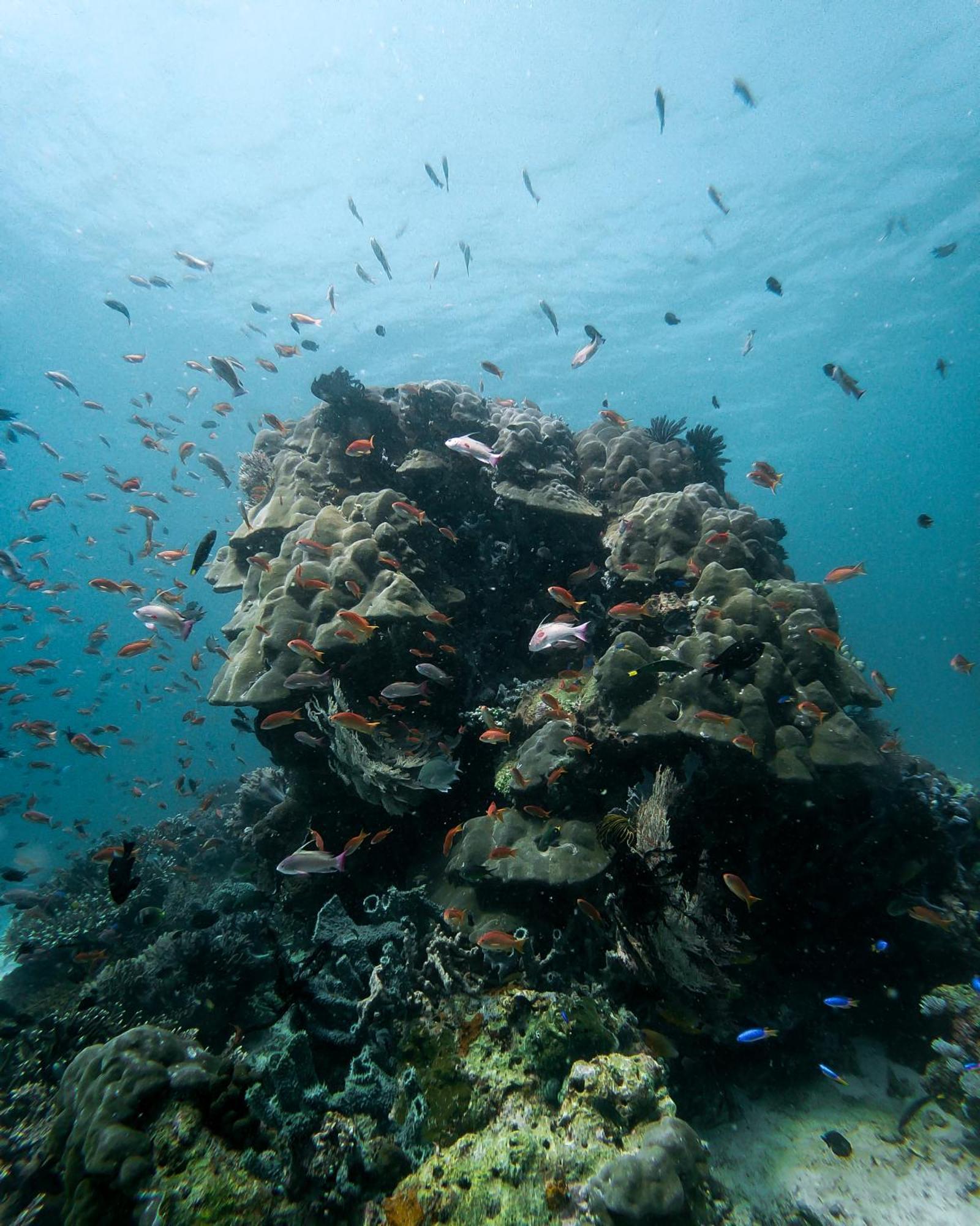 Menjaga Bay Hotel Labuan Bajo Luaran gambar