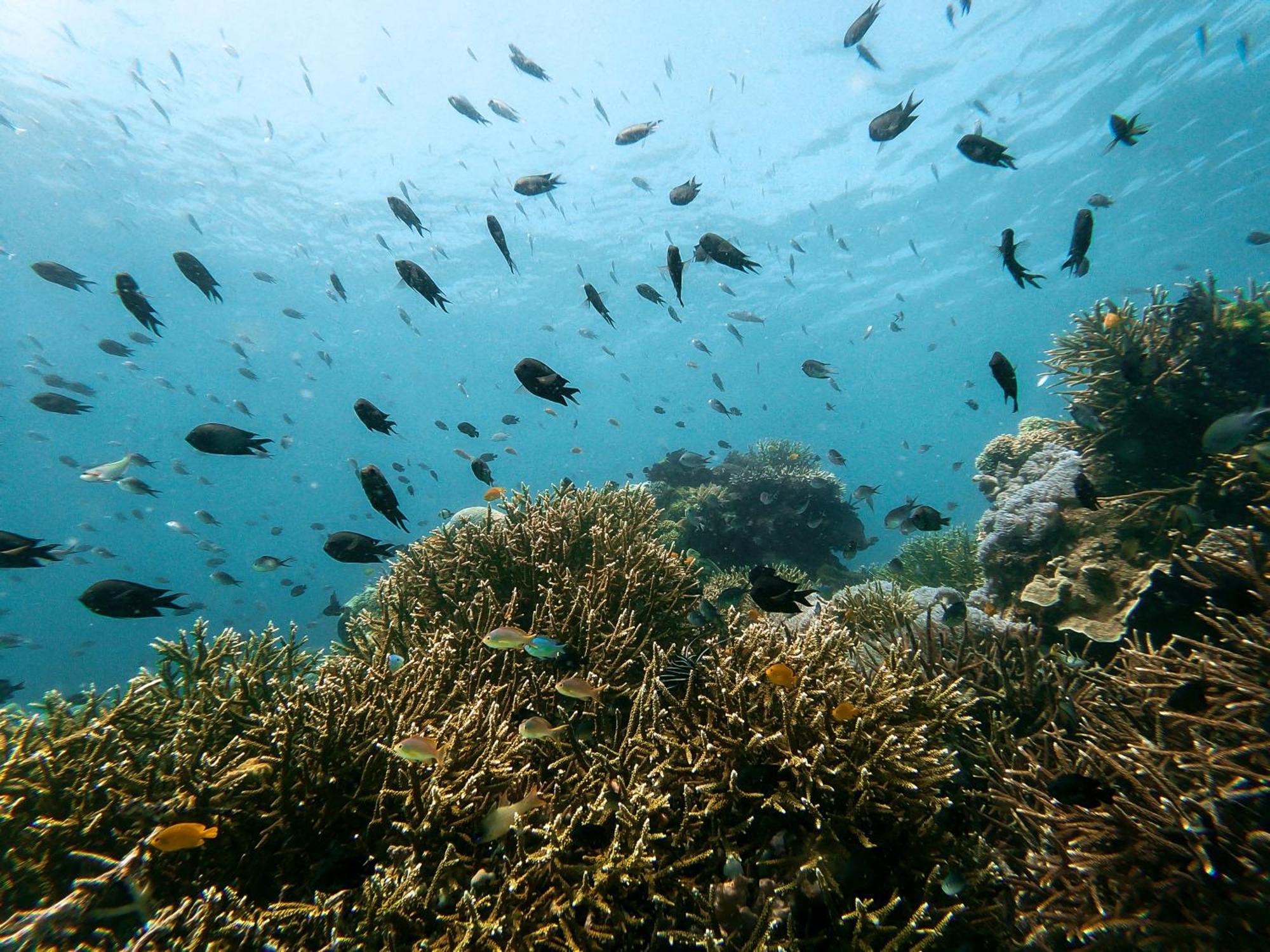 Menjaga Bay Hotel Labuan Bajo Luaran gambar